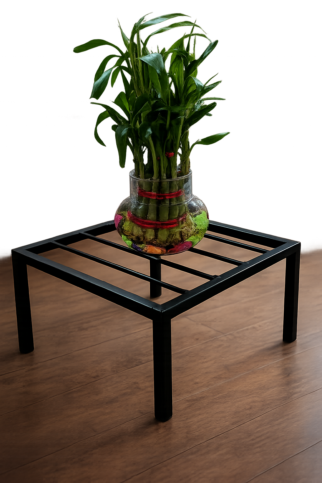 bonsai