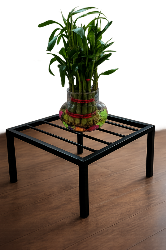 bonsai