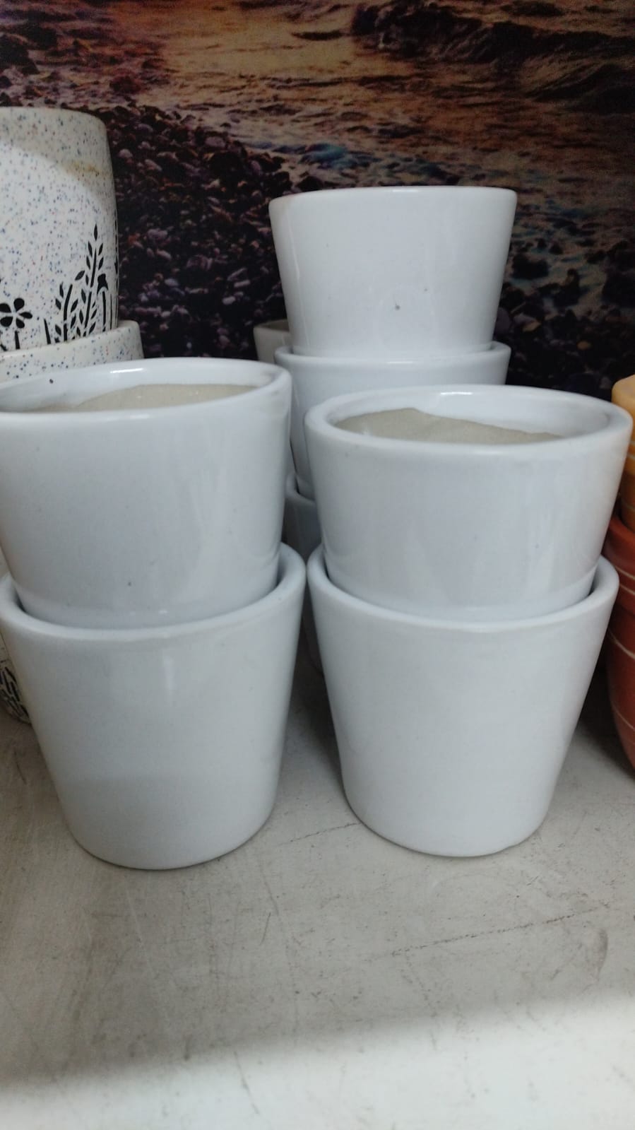 pot 5